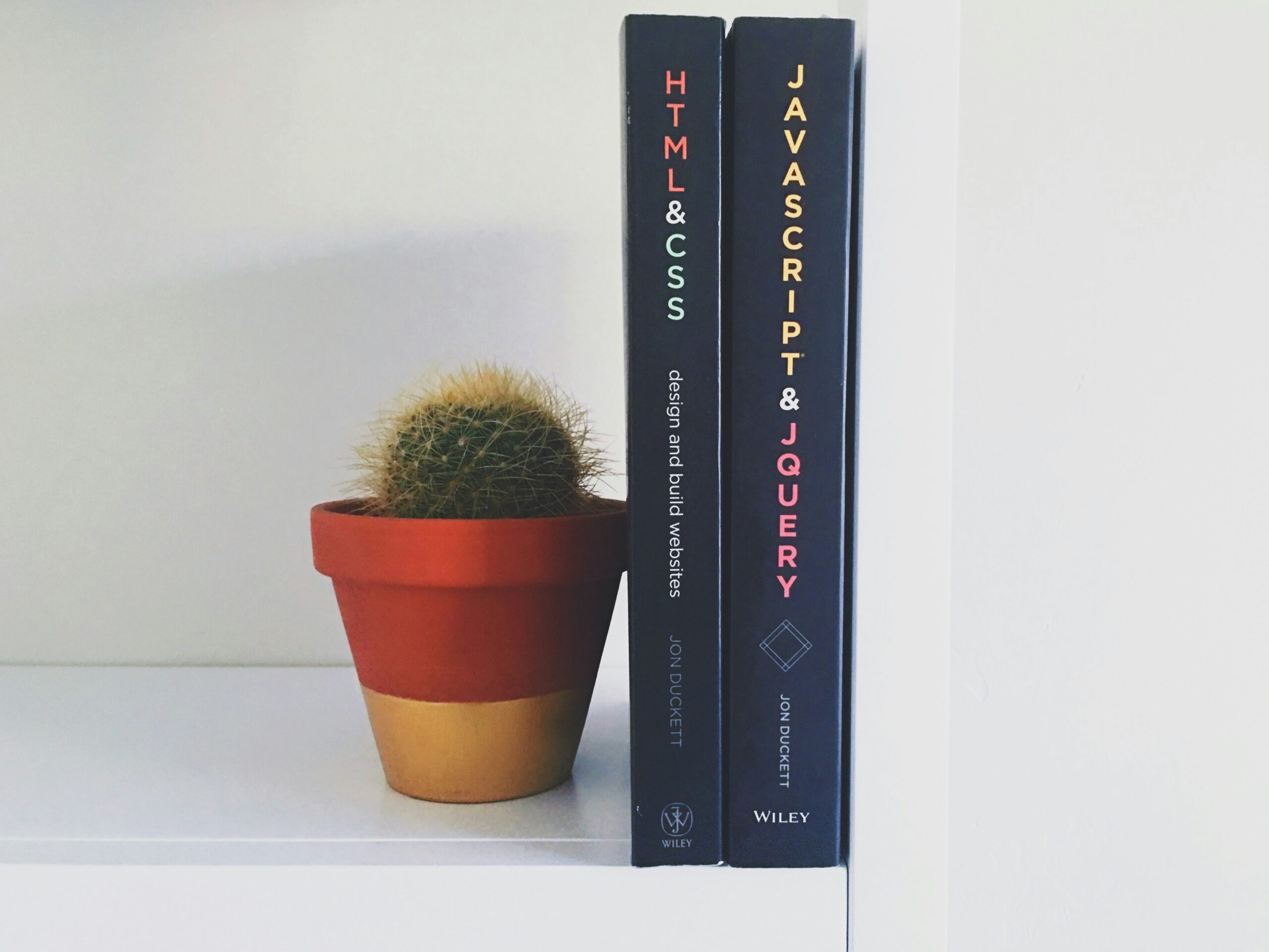 A cactus and two black coding books standing next to each other on a shelf with a white backdrop